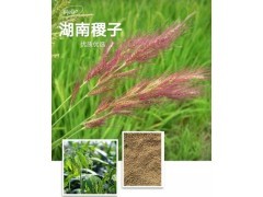 蔬菜水果 食用菌 粮油 花卉苗木 畜牧养殖 茶叶 中草药 肥料种业 农药/原药/杀菌剂 农机农具 渔业 加工机械 金属丝网制品 生态农业 包装印刷_其他未分类饲料肥料信息其他未分类饲料肥料